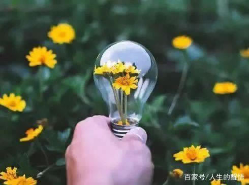 应对方法（图）