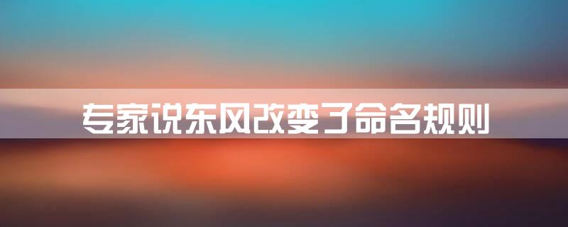 专家说东风改变了命名规则