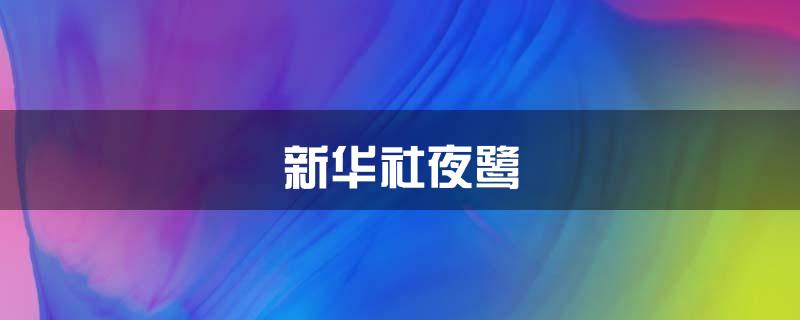 新华社夜鹭