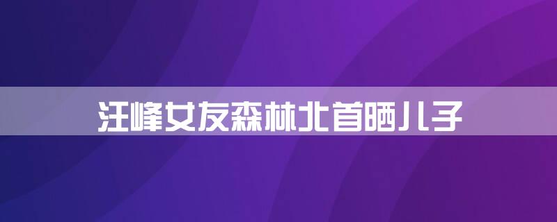 汪峰女友森林北首晒儿子