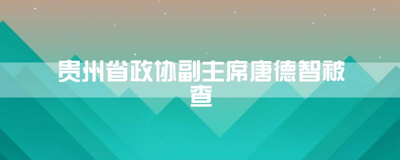 贵州省政协副主席唐德智被查
